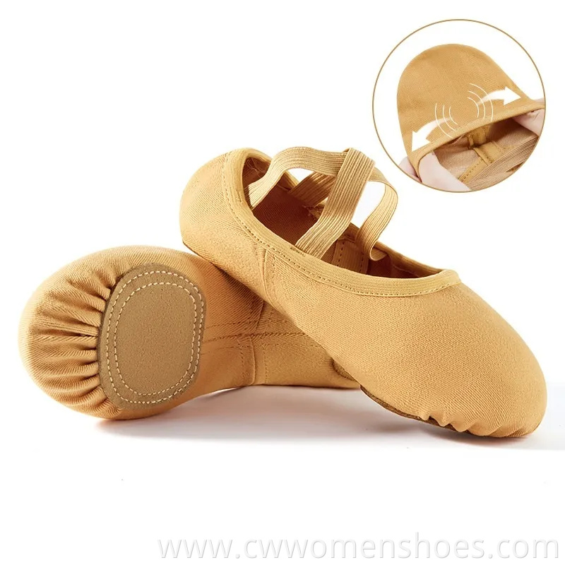 Women Ballet Shoes Highly Stretch Canvas Dance Slipper Yoga Shoes for Girls/Adults